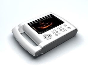 电子产品邮寄攻略 如何选择快递公司并安全寄送